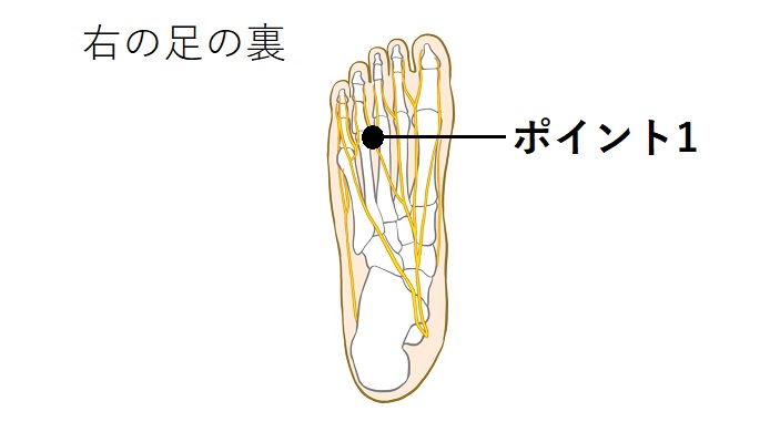 足の裏の神経のイラスト