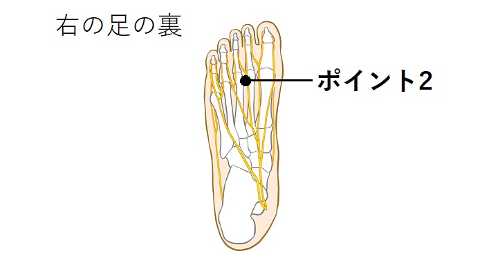 足の裏の神経のイラスト
