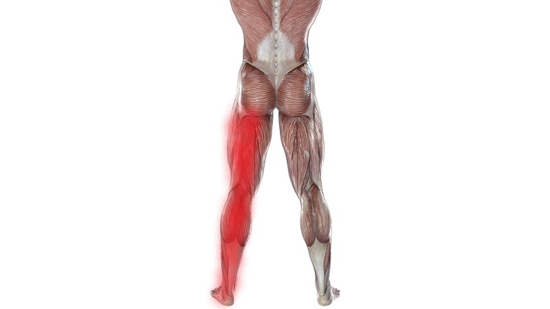 足のしびれの筋肉のイラスト