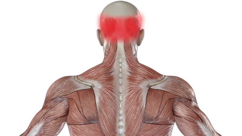 肩から首にかけての筋肉